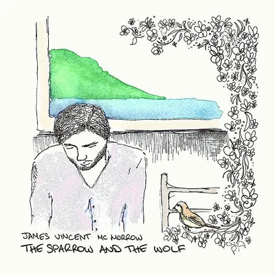 James Vincent McMorrow The Sparrow And The Wolf