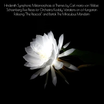 Rafael Kubelík Hindemith Symphonic Metamorphosis of Themes by Carl maria von Weber, Schoenberg Five Pieces for Orchestra, Kodaly Variations on a Hungarian Folksong 