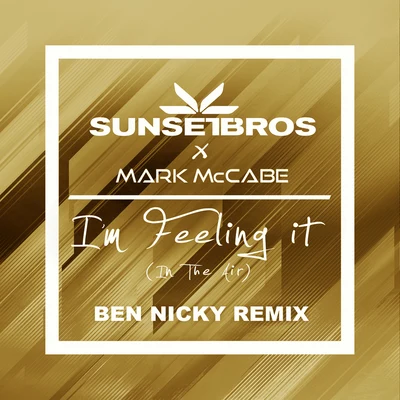 Sunset Bros Im Feeling It (In The Air) (Sunset Bros X Mark McCabeBen Nicky Remix)