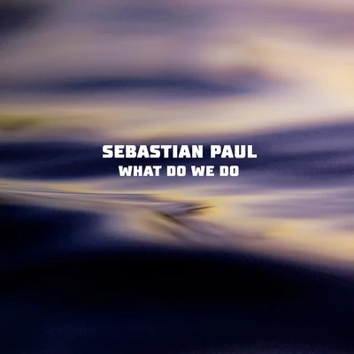 Sebastian Paul What Do We Do