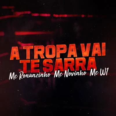 MC Novinho/Mc Ronanzinho/MC W1 A Tropa Vai Te Sarra