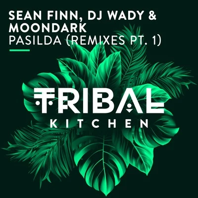 Moondark/Sean Finn/Dj Wady Pasilda (Remixes Pt. 1) [Radio Edits]