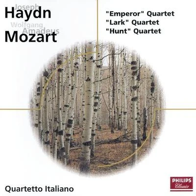 Quartetto Italiano Haydn Mozart: string quartets