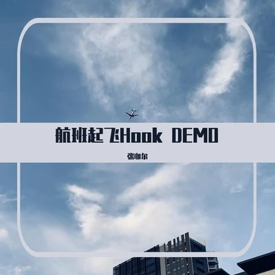 張珈爾 航班起飛Hook demo