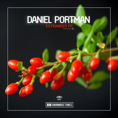 Daniel Portman Estranged EP