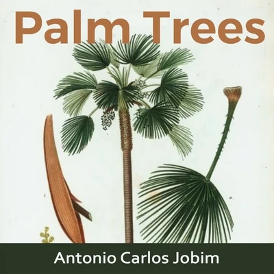 Antônio Carlos Jobim Palm Trees