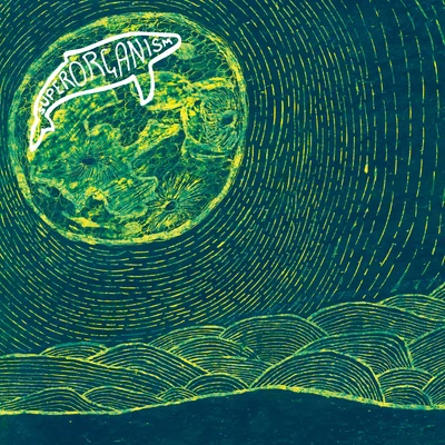 Superorganism Night Time