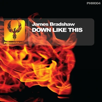 James Bradshaw Down Like This