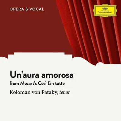 Koloman Von Pataky Mozart: Unaura amorosa