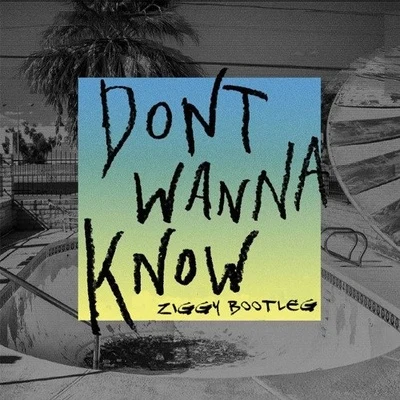 Ziggy Dont wanna know (Ziggy Bootleg)