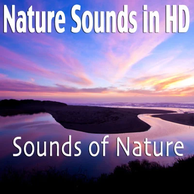 Sounds Of Nature Nature Sounds In HD