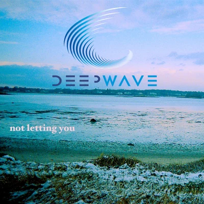 Deep Wave Not Letting You - Single