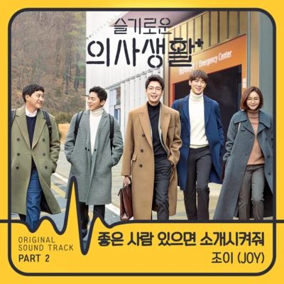 Joy 슬기로운 의사생활 OST Part 2