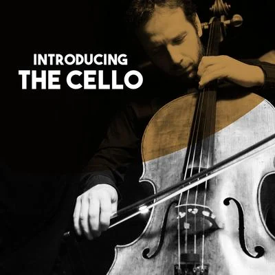 Jörg Metzger Introducing: The Cello