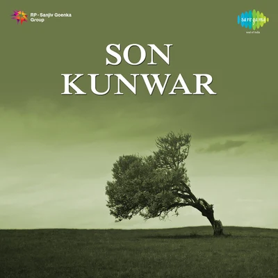 Various Artists/Bhupinder Singh Son Kunwar