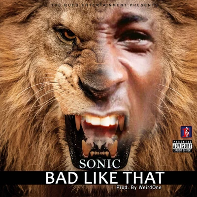 Sonic Bad Like That