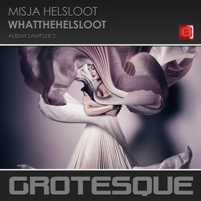 Misja Helsloot WhatTheHelsloot (Album sampler 2)