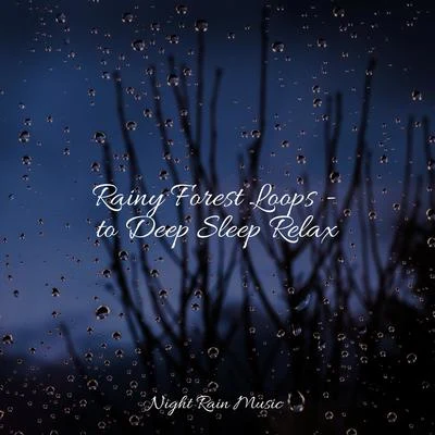 Yoga Soul/Oasis of Meditation/Deep Sleep Music Experience Rainy Forest Loops - to Deep Sleep Relax