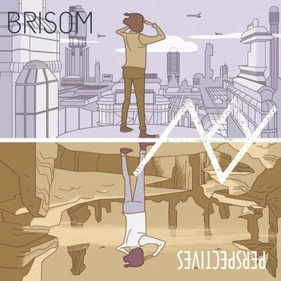 Brisom Perspectives