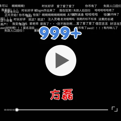 方磊 999+