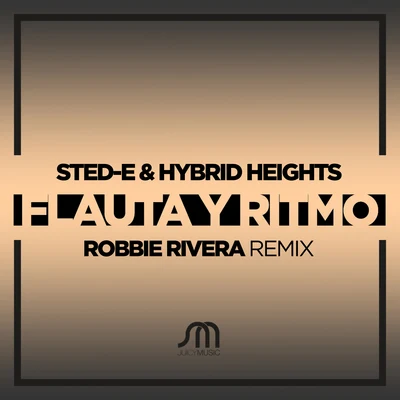 Sted-E Flauta Y Ritmo