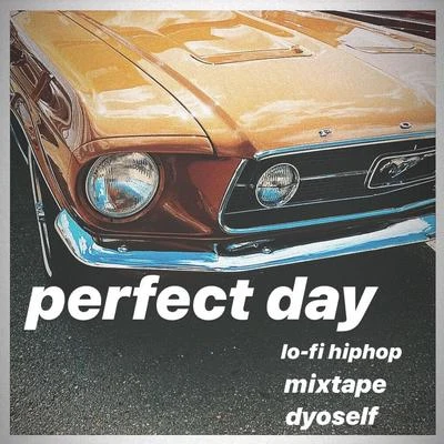 DyoSeLF PErFeCT DAY