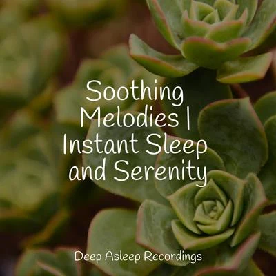 Entspannungsmusik Oase/Calm Shores/Pro Sound Effects Library Soothing Melodies | Instant Sleep and Serenity