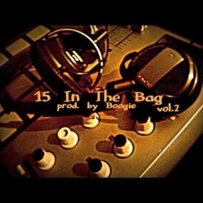 Boogie 15 In The Bag vol. 2