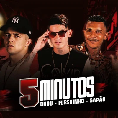 MC Sapão do Recife/Mc Fleshinho 5 Minutos (feat. Mc Dudu)