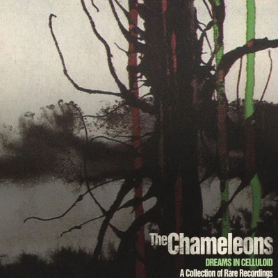 The Chameleons Dreams in Celluloid: A Collection of Rare Recordings