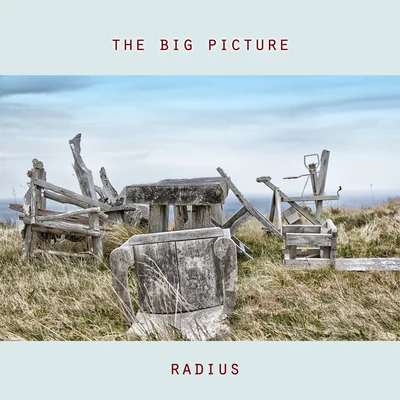 Radius The Big Picture