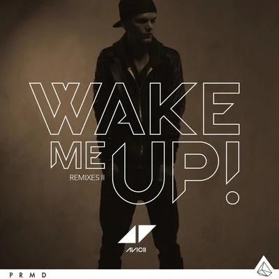 Avicii Wake Me Up (Remixes II)