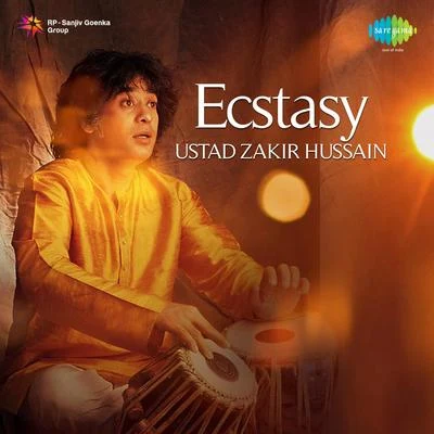 Ustad Zakir Hussain Ecstasy