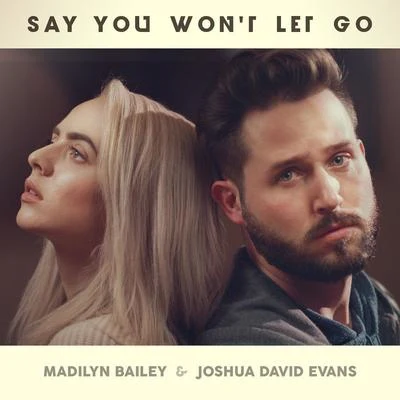 Kurt Hugo Schneider/Madilyn Bailey Say You Wont Let Go