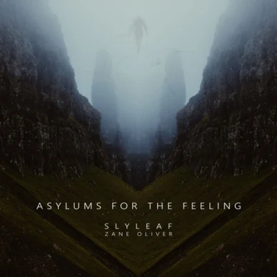 Slyleaf Asylums for the Feeling