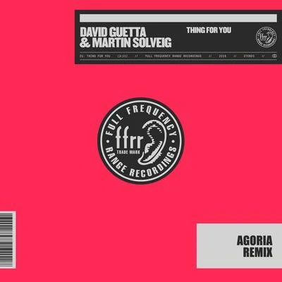 Martin Solveig/David Guetta Thing For You (Agoria Remix)