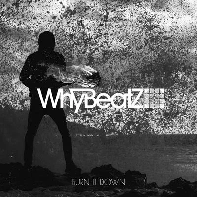 WhyBeatZ BURN IT DOWN