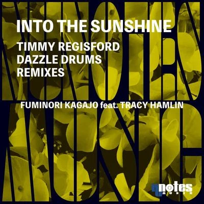 Fuminori Kagajo Into The Sunshine (Timmy Regisford & Dazzle Drums Remixes)