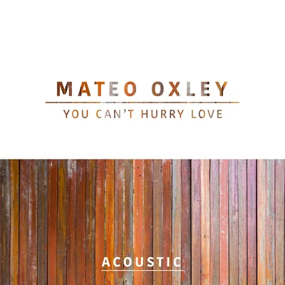 Mateo Oxley you can T hurry love (acoustic)