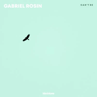 Gabriel Rosin Cant Be