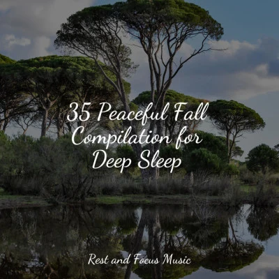 Entspannungsmusik Meer/Entspannungsmusik Oase/Chakra Balancing Sound Therapy 35 Peaceful Fall Compilation for Deep Sleep