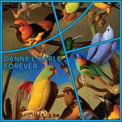 Danny L Harle Forever