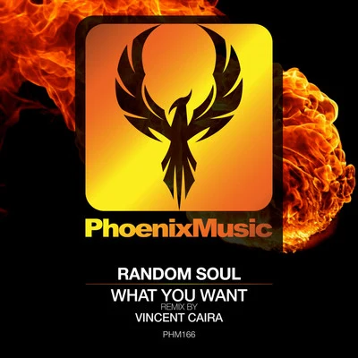 Random Soul What You Want (Vincent Caira Remix)