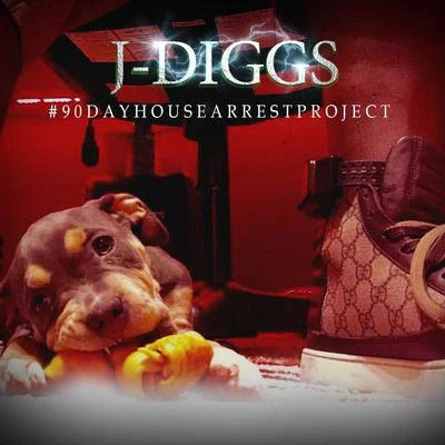 J-Diggs #90DayHouseArrestProject