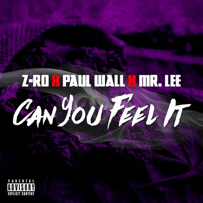 Z-Ro/Mr. Lee713/Paul Wall Can You Feel It