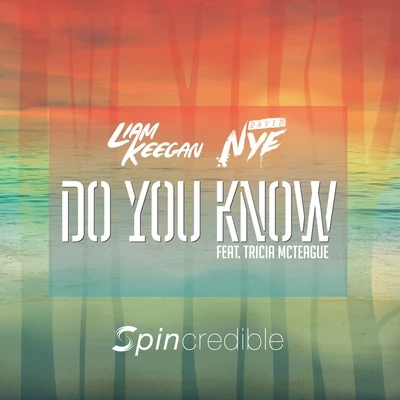 Liam Keegan Do You Know (feat. David Nye & Tricia McTeague)