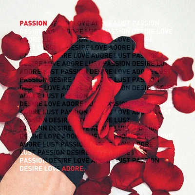 Michael Klein Passion (Remixes, Pt. 1)