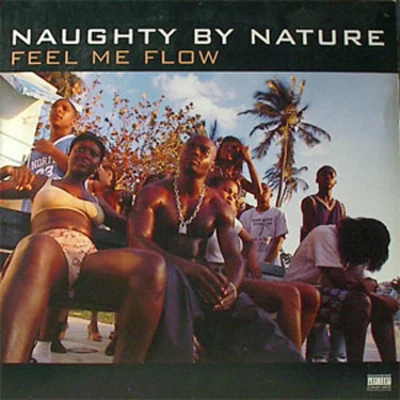 Naughty by Nature Feel Me FlowHang Out And Hustle