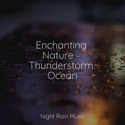 Meditation Relaxation Club/Buddhist Meditation Music Set/Rain Sounds/Nature Sounds/Deep Relaxation Meditation Academy Enchanting Nature - Thunderstorm Ocean