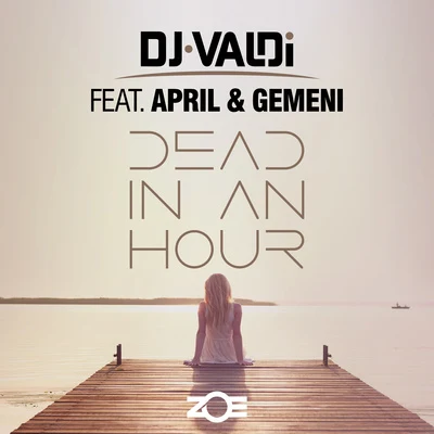 DJ Valdi Dead in an Hour